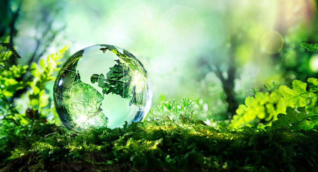 Mayo Clinic and World Environment Day